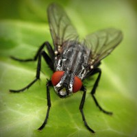 /album/sitiosweb-directorio-mexico/photolia-a01-jpg/