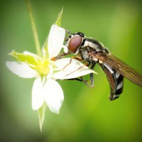 /album/sitiosweb-directorio-mexico/photolia-a02-jpg/