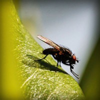 /album/sitiosweb-directorio-mexico/photolia-a04-jpg/