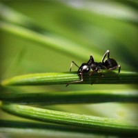 /album/sitiosweb-directorio-mexico/photolia-a05-jpg/