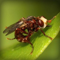 /album/sitiosweb-directorio-mexico/photolia-a06-jpg/