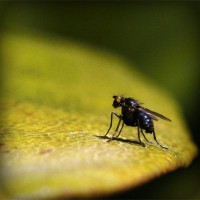 /album/sitiosweb-directorio-mexico/photolia-a07-jpg/